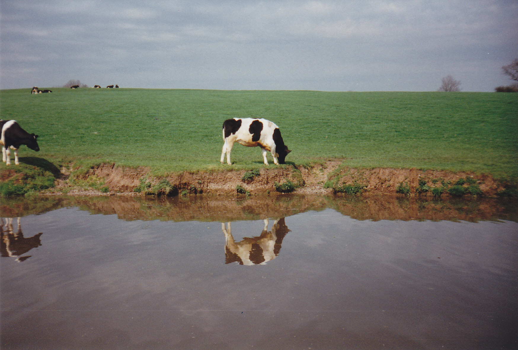 Megasys Reflection 2023